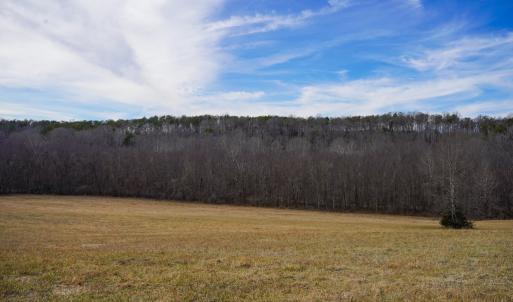 Photo #71 of 1084 Hedge Road, Chatham, VA 127.3 acres