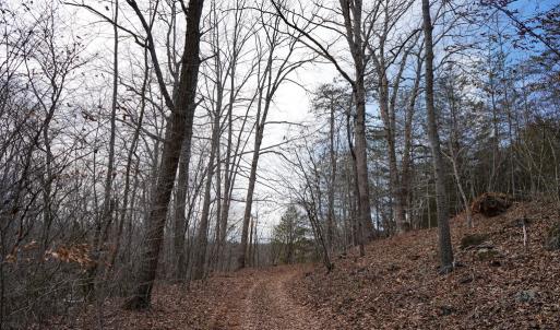 Photo #72 of 1084 Hedge Road, Chatham, VA 127.3 acres