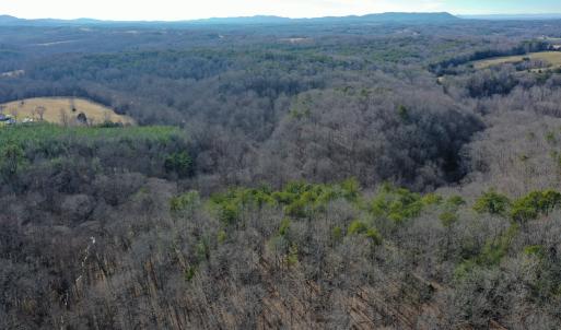 Photo #57 of 1084 Hedge Road, Chatham, VA 127.3 acres