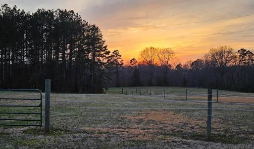 Photo #10 of 13521 Dykeland Road, Amelia Court House, VA 9.2 acres