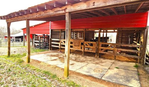 Photo #17 of 13521 Dykeland Road, Amelia Court House, VA 9.2 acres