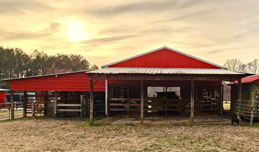 Photo #18 of 13521 Dykeland Road, Amelia Court House, VA 9.2 acres
