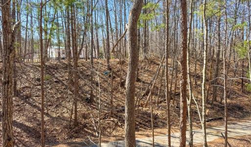 Photo #19 of 13275 Oral Oaks Road, Victoria, VA 2.0 acres