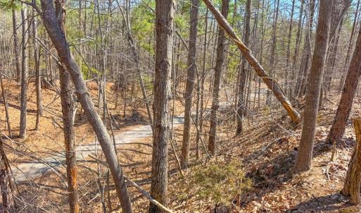 Photo #20 of 13275 Oral Oaks Road, Victoria, VA 2.0 acres