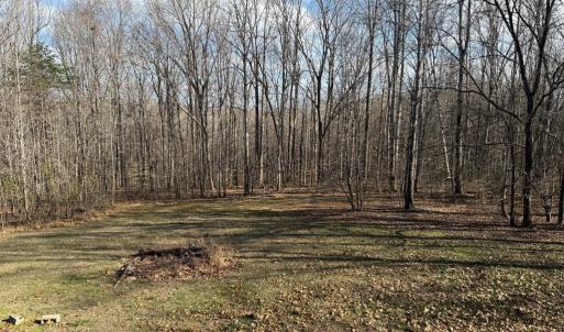 Photo #17 of 1228 Rosser Mill Road, Pamplin, VA 99.8 acres