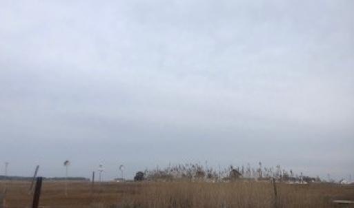 Photo #15 of 16365 MAIN RIDGE RD, TANGIER, VA 1.0 acres