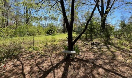 Photo #28 of 211 Shumaker Road, Buckingham, VA 2.2 acres