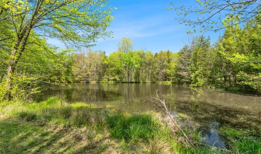 Photo #44 of 300 Poorhouse Road, Rice, VA 47.7 acres