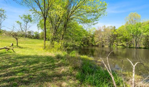 Photo #45 of 300 Poorhouse Road, Rice, VA 47.7 acres