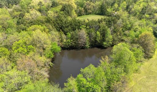 Photo #46 of 300 Poorhouse Road, Rice, VA 47.7 acres