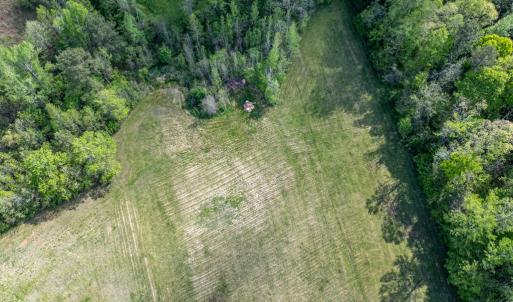 Photo #8 of 1311 Overton Rd, Victoria, VA 17.2 acres