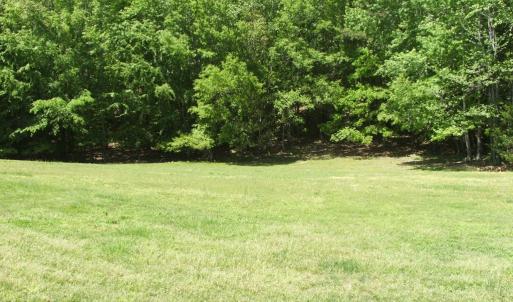 Photo #11 of 300 Sondra Lane, Saxe, VA 13.4 acres
