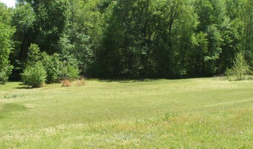 Photo #13 of 300 Sondra Lane, Saxe, VA 13.4 acres