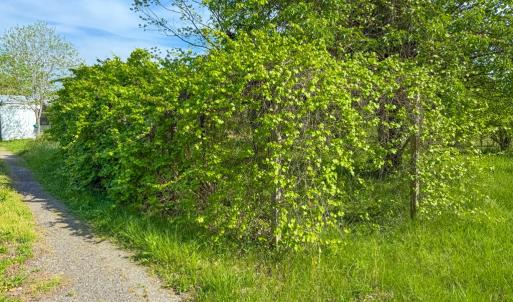 Photo #21 of 4342 Winningham Road, Crewe, VA 13.1 acres