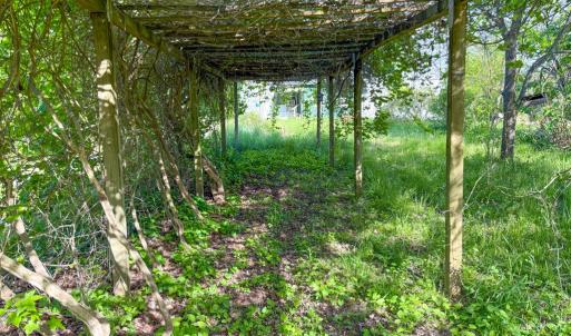 Photo #22 of 4342 Winningham Road, Crewe, VA 13.1 acres