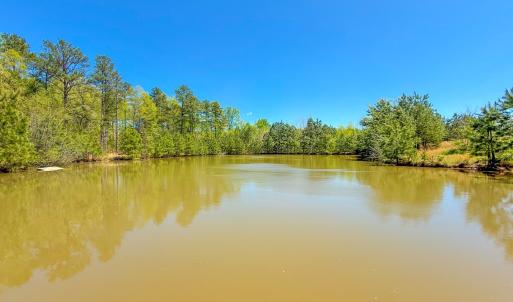 Photo #25 of 4342 Winningham Road, Crewe, VA 13.1 acres