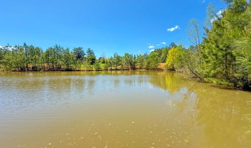 Photo #26 of 4342 Winningham Road, Crewe, VA 13.1 acres