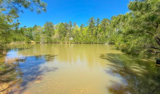 Photo #27 of 4342 Winningham Road, Crewe, VA 13.1 acres