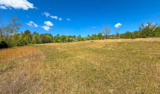 Photo #32 of 4342 Winningham Road, Crewe, VA 13.1 acres