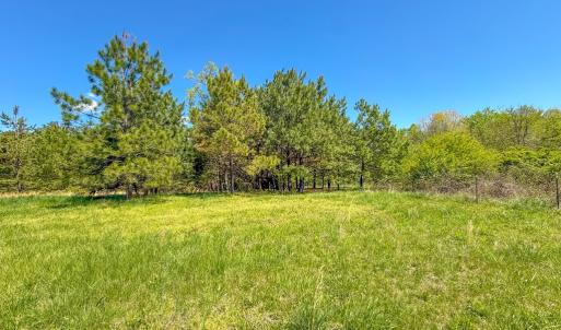 Photo #35 of 4342 Winningham Road, Crewe, VA 13.1 acres