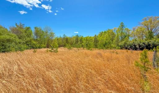 Photo #43 of 4342 Winningham Road, Crewe, VA 13.1 acres