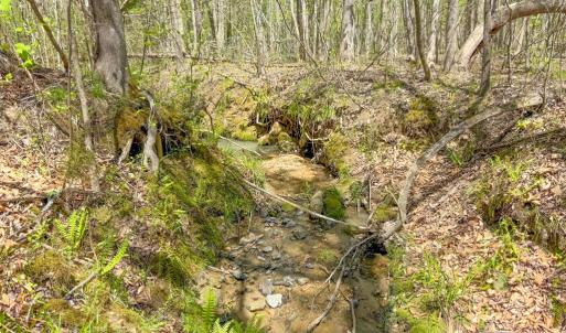 Photo #44 of 4342 Winningham Road, Crewe, VA 13.1 acres