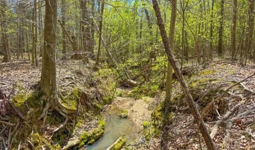 Photo #45 of 4342 Winningham Road, Crewe, VA 13.1 acres