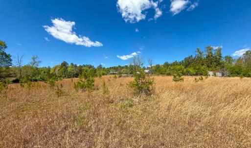 Photo #46 of 4342 Winningham Road, Crewe, VA 13.1 acres