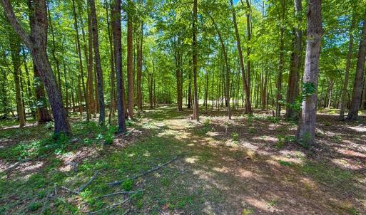 Photo #25 of 485 Pond Drive, Kenbridge, VA 8.2 acres
