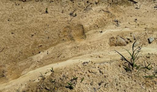 Photo #27 of 485 Pond Drive, Kenbridge, VA 8.2 acres