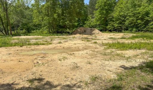 Photo #28 of 485 Pond Drive, Kenbridge, VA 8.2 acres