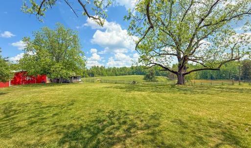 Photo #3 of 8820 Nutbush Road, Green Bay, VA 24.9 acres