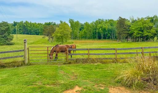 Photo #36 of 8820 Nutbush Road, Green Bay, VA 24.9 acres