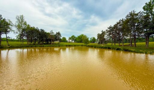 Photo #39 of 8820 Nutbush Road, Green Bay, VA 24.9 acres