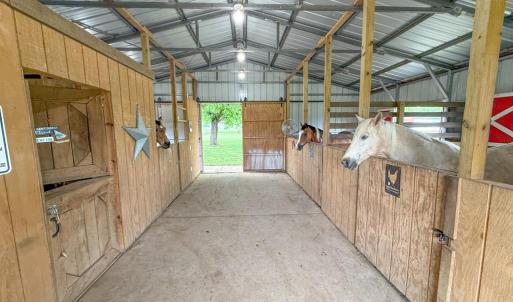 Photo #42 of 8820 Nutbush Road, Green Bay, VA 24.9 acres