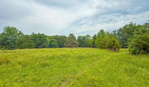 Photo #64 of 8820 Nutbush Road, Green Bay, VA 24.9 acres