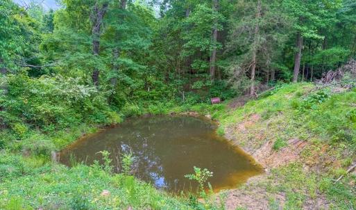 Photo #66 of 8820 Nutbush Road, Green Bay, VA 24.9 acres