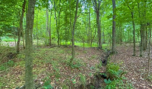 Photo #67 of 8820 Nutbush Road, Green Bay, VA 24.9 acres