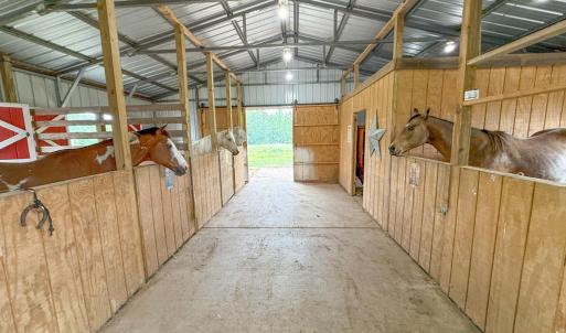 Photo #41 of 8820 Nutbush Road, Green Bay, VA 24.9 acres