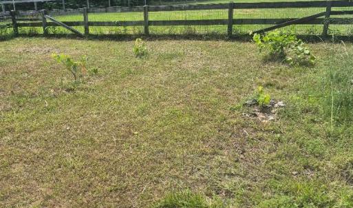 Photo #39 of 566 Holman Mill Rd., Farmville, VA 14.9 acres