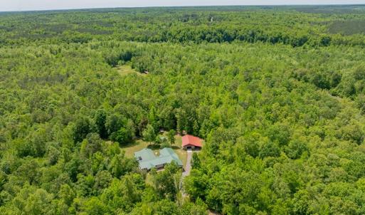 Photo #3 of 505 Kesterson Lane, Victoria, VA 40.2 acres