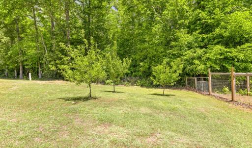 Photo #39 of 505 Kesterson Lane, Victoria, VA 40.2 acres