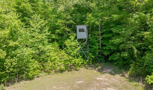 Photo #55 of 505 Kesterson Lane, Victoria, VA 40.2 acres