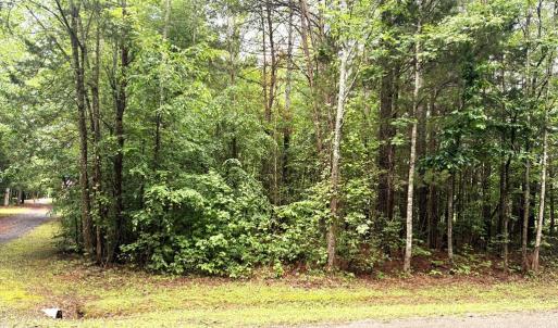 Photo #50 of 824 Double Bridges, Keysville, VA 7.7 acres