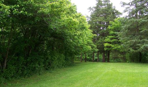 Photo #31 of 2387 New Bethel Road, Meherrin, VA 7.3 acres