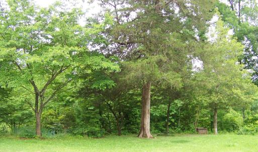 Photo #33 of 2387 New Bethel Road, Meherrin, VA 7.3 acres