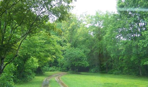 Photo #35 of 2387 New Bethel Road, Meherrin, VA 7.3 acres