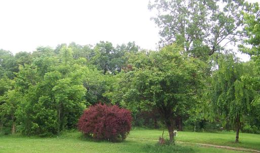 Photo #36 of 2387 New Bethel Road, Meherrin, VA 7.3 acres