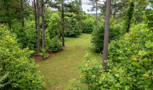 Photo #48 of 2387 New Bethel Road, Meherrin, VA 7.3 acres