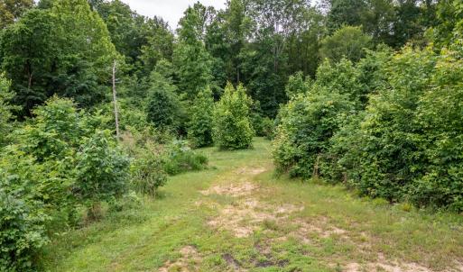 Photo #50 of 2387 New Bethel Road, Meherrin, VA 7.3 acres